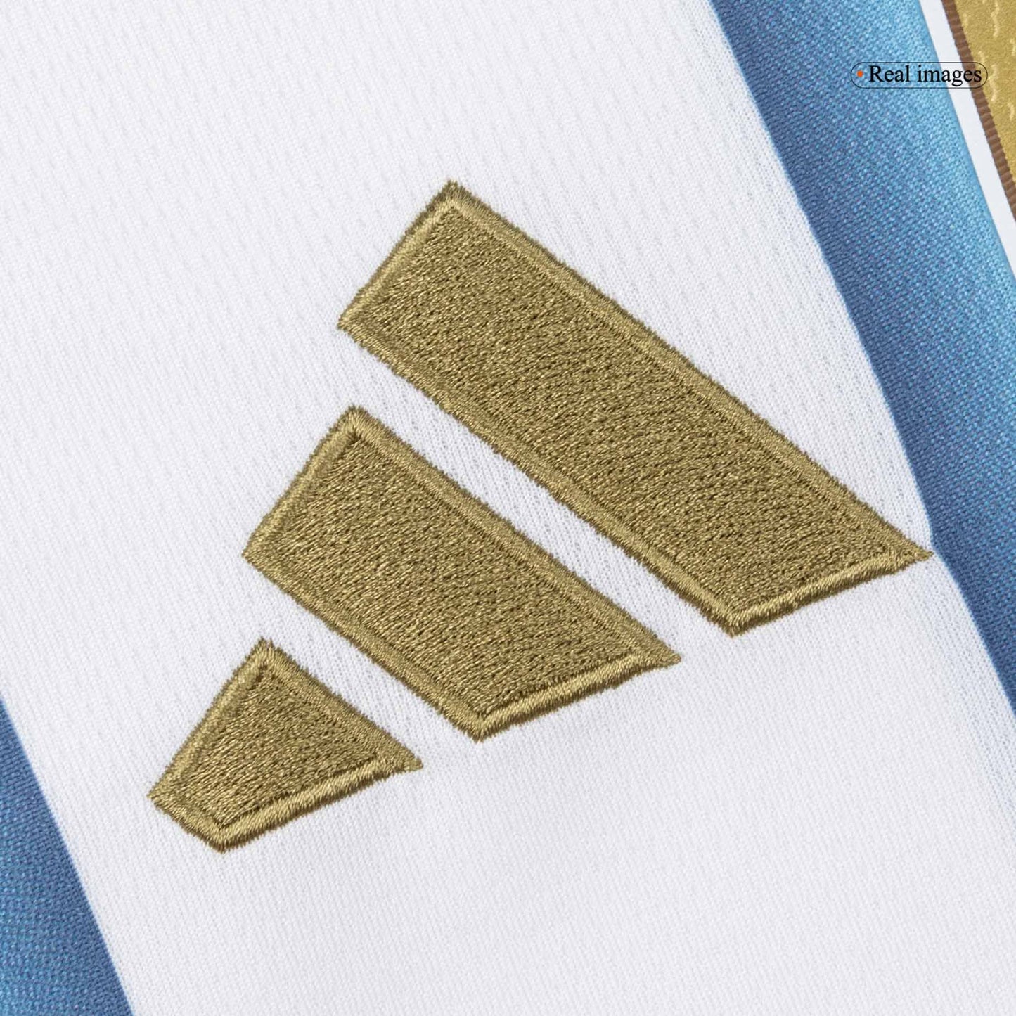 Argentina Tröja 2026 Hemma Långärmad Blå & Vit